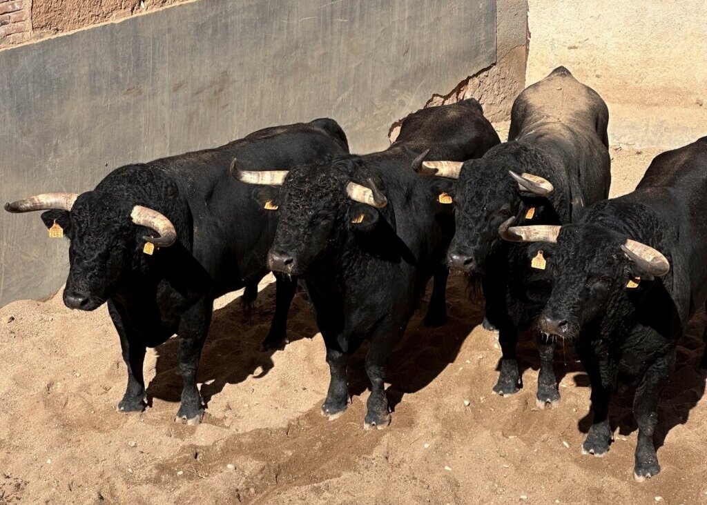 Dos de El Capea y cuatro de Carmen Lorenzo para abrir la feria de Guadalajara
