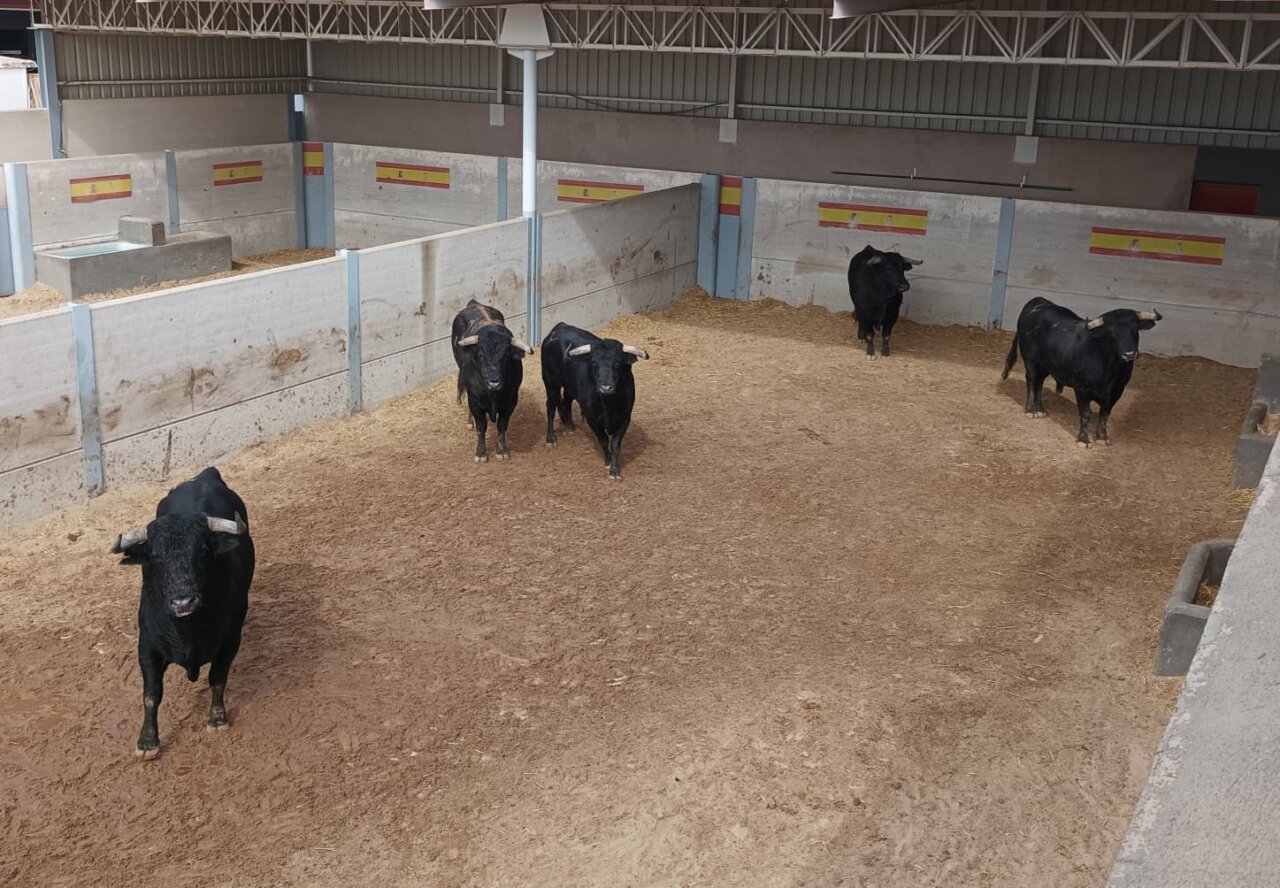 Ole-Ole, de Cuadri, abrocha el Alfarero de Oro