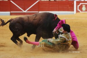 Foto: José Luis Cárdenas