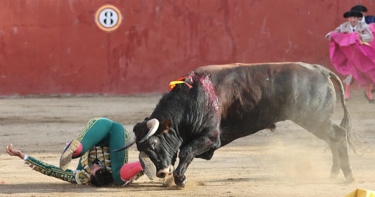 Félix San Román, "traumatismo en región cervical y hombro izquierdo, y posible fisura de costilla"