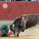 Félix San Román, cogido en Sonseca. Foto: José Luis Cárdenas.