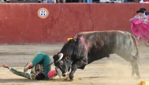 Félix San Román, cogido en Sonseca. Foto: José Luis Cárdenas.