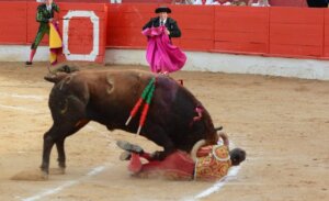 Momento del percance de Manuel Escribano en Corella.