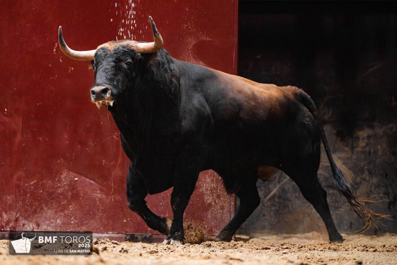 Amargado, de Fuente Ymbro, descorcha la feria en Logroño