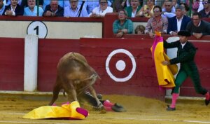 Foto: José Salvador