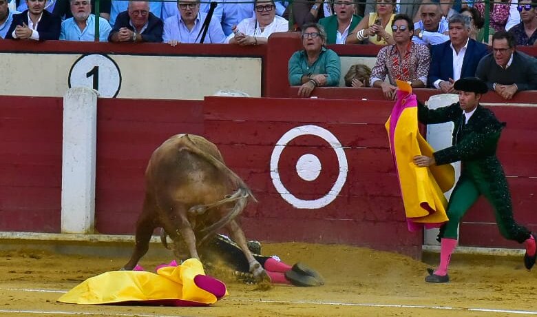 Roca Rey, baja este martes en Logroño al resentirse de una lesión en el costado derecho