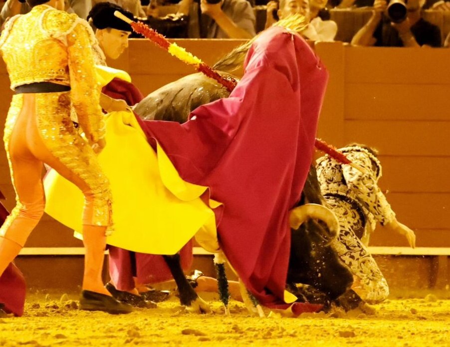 Sánchez Araujo, cornada de 10 cm en muslo izquierdo y traumatismo costal y región mastoidea