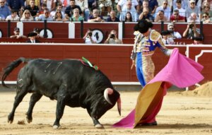 Manuel Caballero, el pasado martes en la novillada de Albacete. Foto: Antonio Vigueras