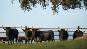 Foto: GCB Comunicación Digital