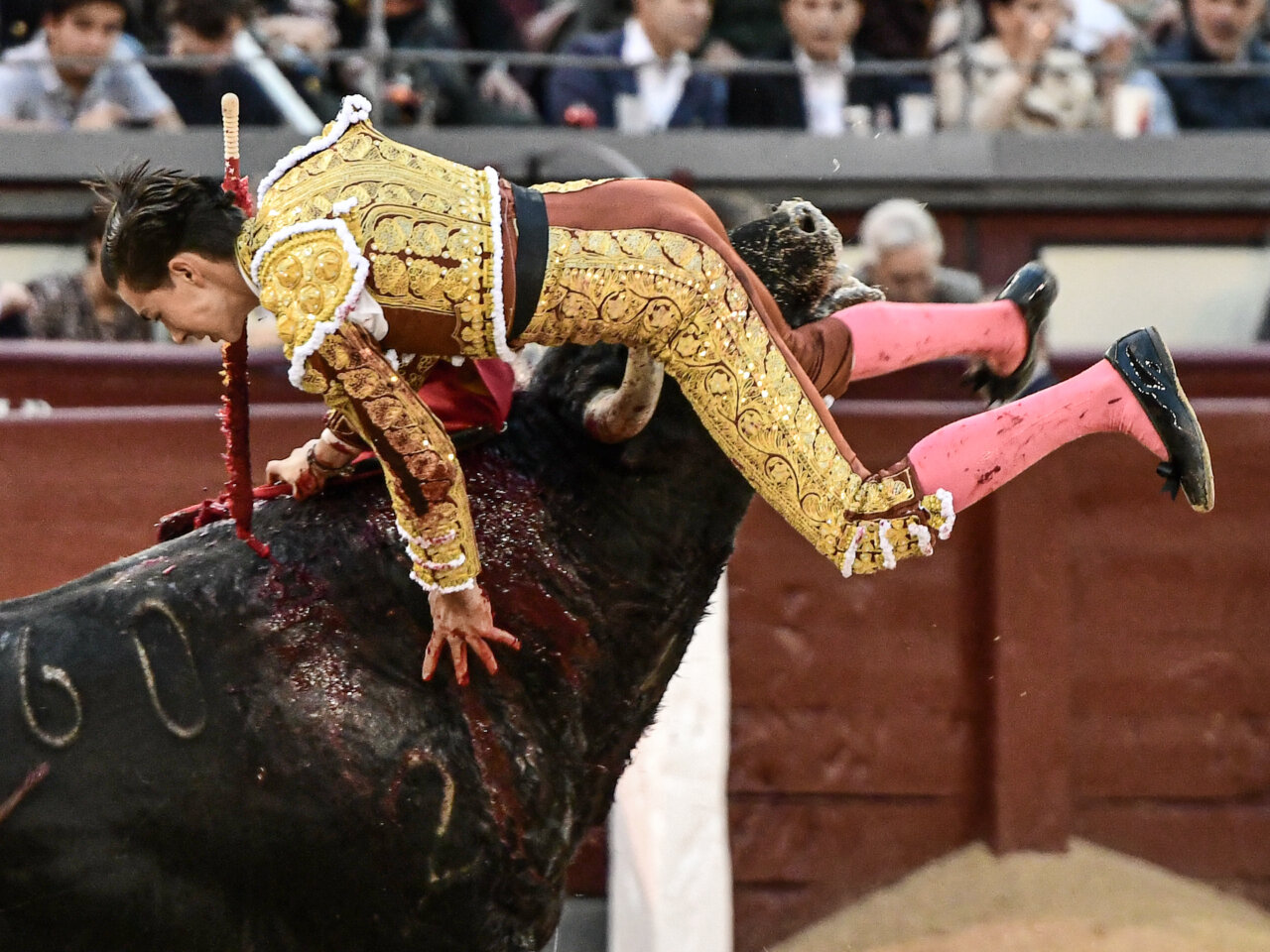 Bruno Aloi, cogido con violencia por el cuarto en Las Ventas