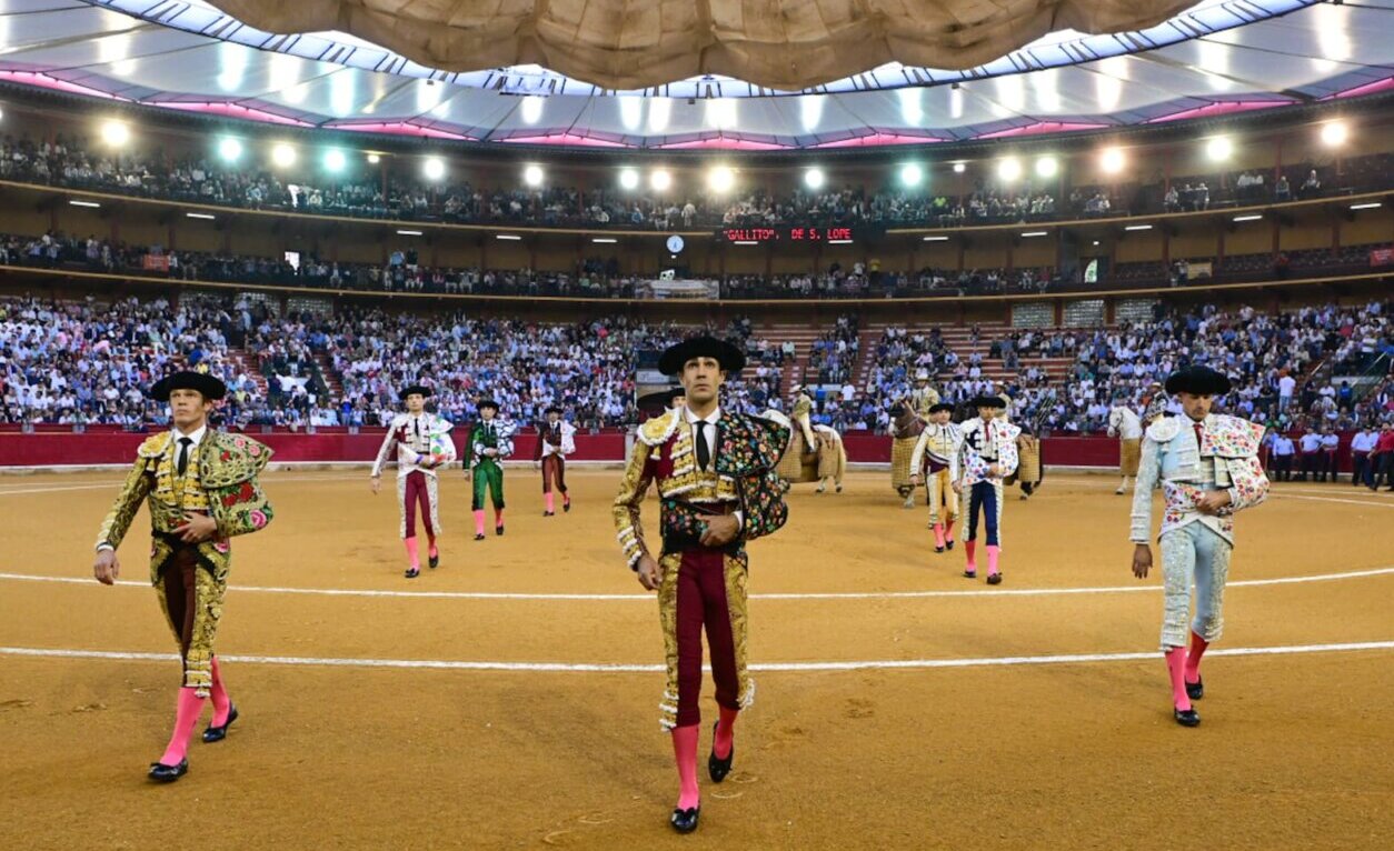 El TSJA desbloquea el concurso de la Misericordia y habrá toros en Zaragoza