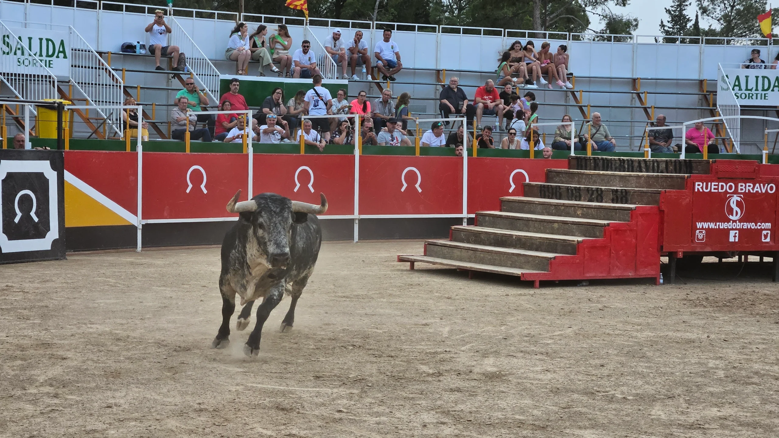 Los festejos taurinos podrán celebrarse en Aragón bajo estas medidas sanitarias frente a la DNC
