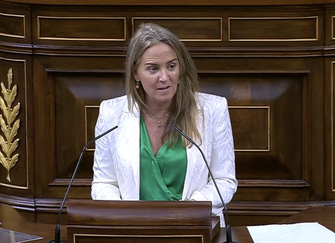 María Soledad Cruz-Guzmán García (PP): "Este debate es una nueva cortina de humo"