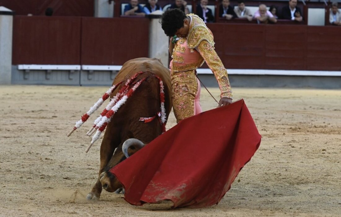 Samuel Castrejón ilumina al natural la Final del Camino Hacia Las Ventas