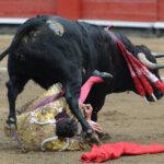 Foto: Agustín Carbone