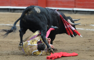 Foto: Agustín Carbone