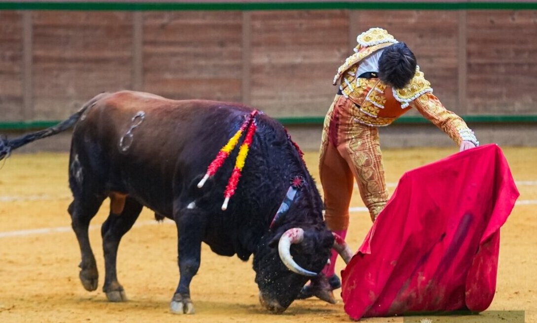 Cristiano Torres no salió en hombros para irse a la enfermería: contusión en hombro derecho