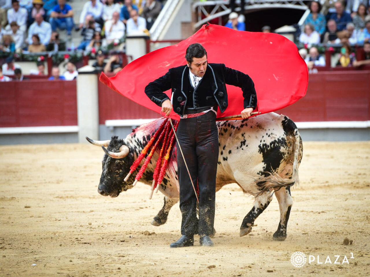 Brindis al cielo de Morante a Antoñete: esfuerzo y oreja del toro blanco de Osborne
