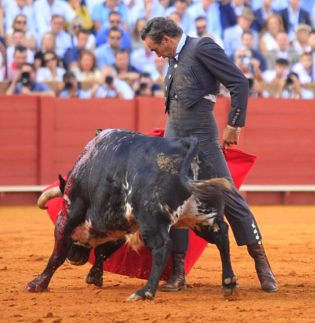 El Cid, contusión costal y cornada interna tras ser cogido en Sevilla