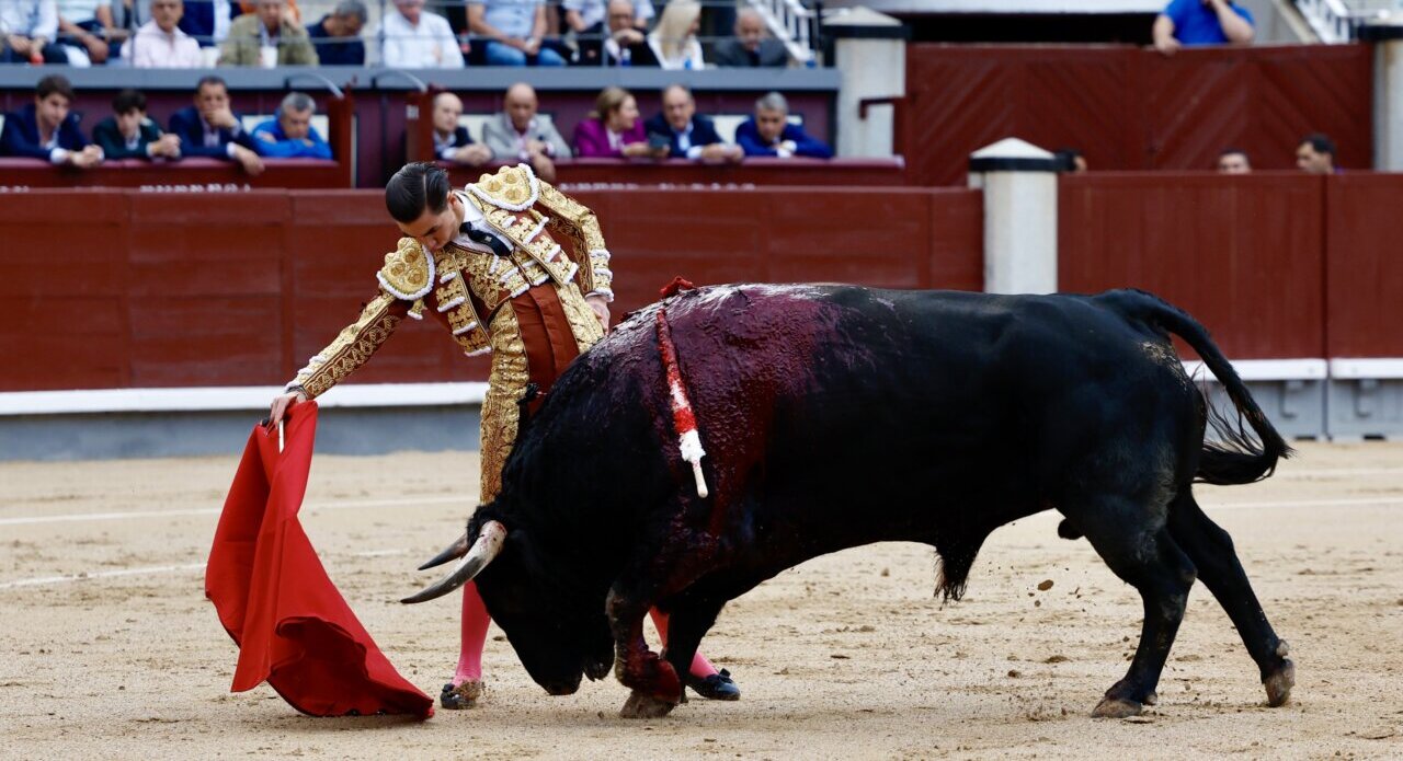 La segunda novillada de la Feria de Otoño, en vídeo e imágenes