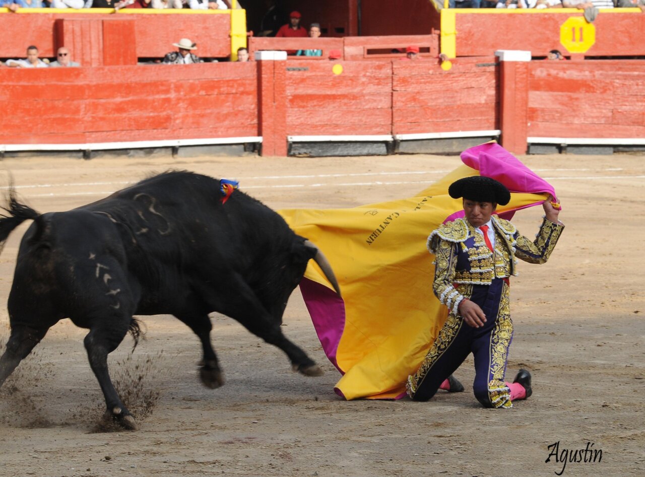 Joaquín Caro y Josuel Mallqui, ovacionados en la primera de feria en Lima