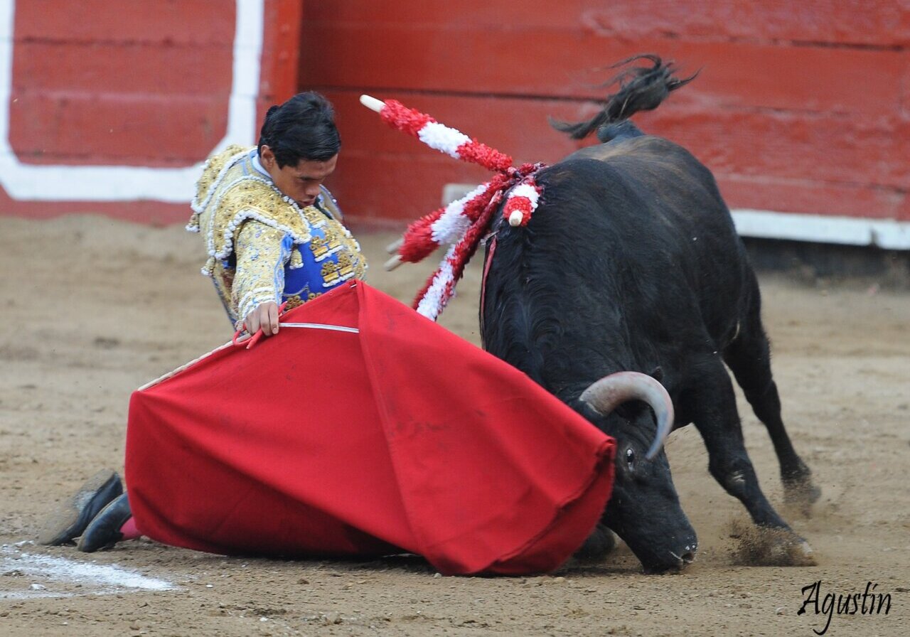 Buena imagen de Pedro Luis en Lima, la espada se lleva el triunfo