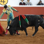 Un torero vestido de luces en la plaza de toros con un toro.