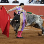 Torero vestido de luces lidiando un toro en la plaza de toros.