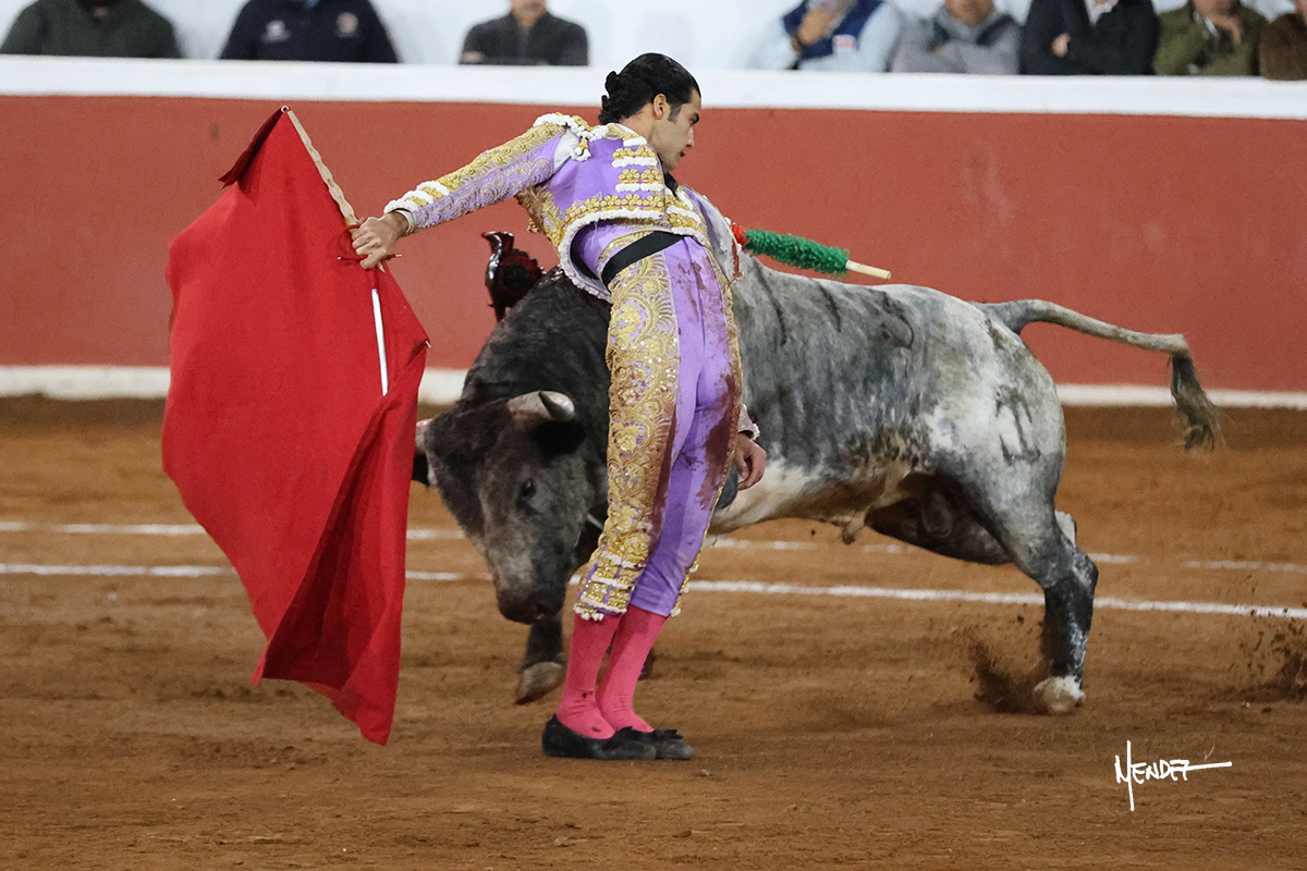 Torero vestido de luces lidiando un toro en la plaza de toros.