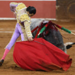 Torero realizando una faena con un toro en la plaza de toros