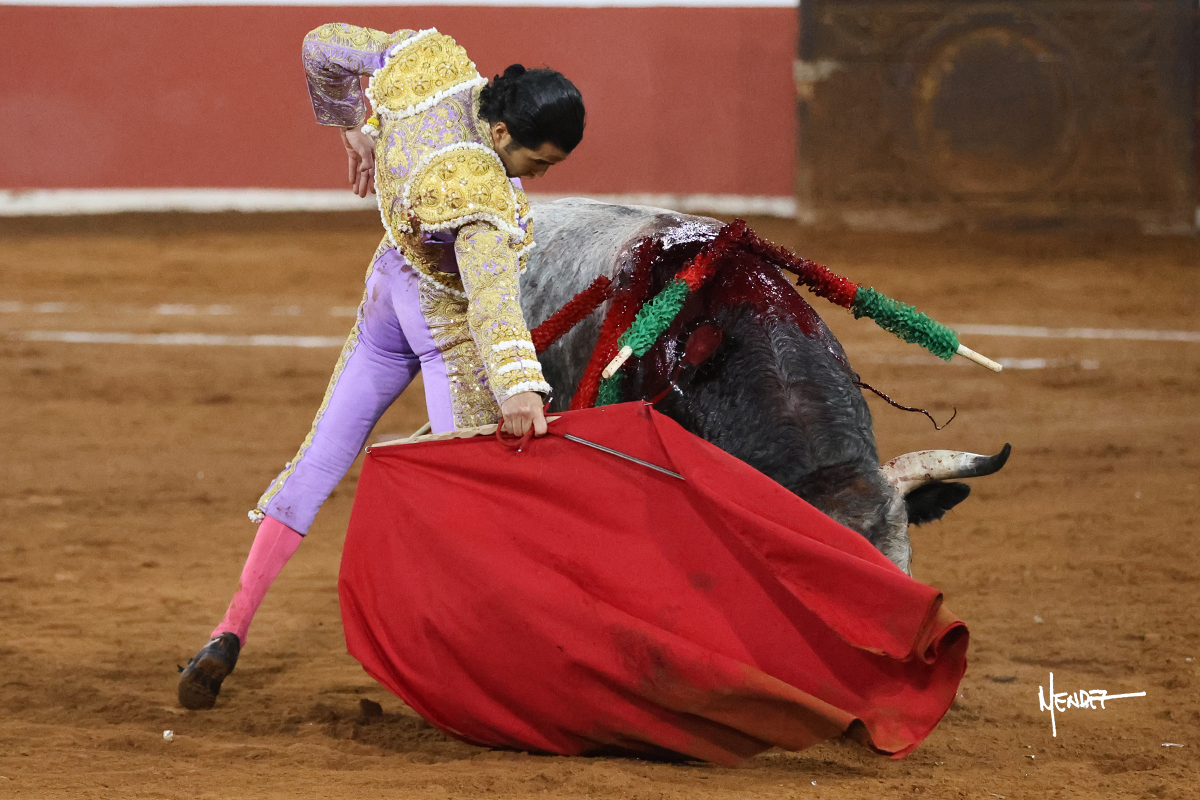 Torero realizando una faena con un toro en la plaza de toros