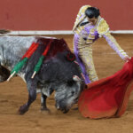 Un torero vestido de luces interactuando con un toro en la plaza de toros.