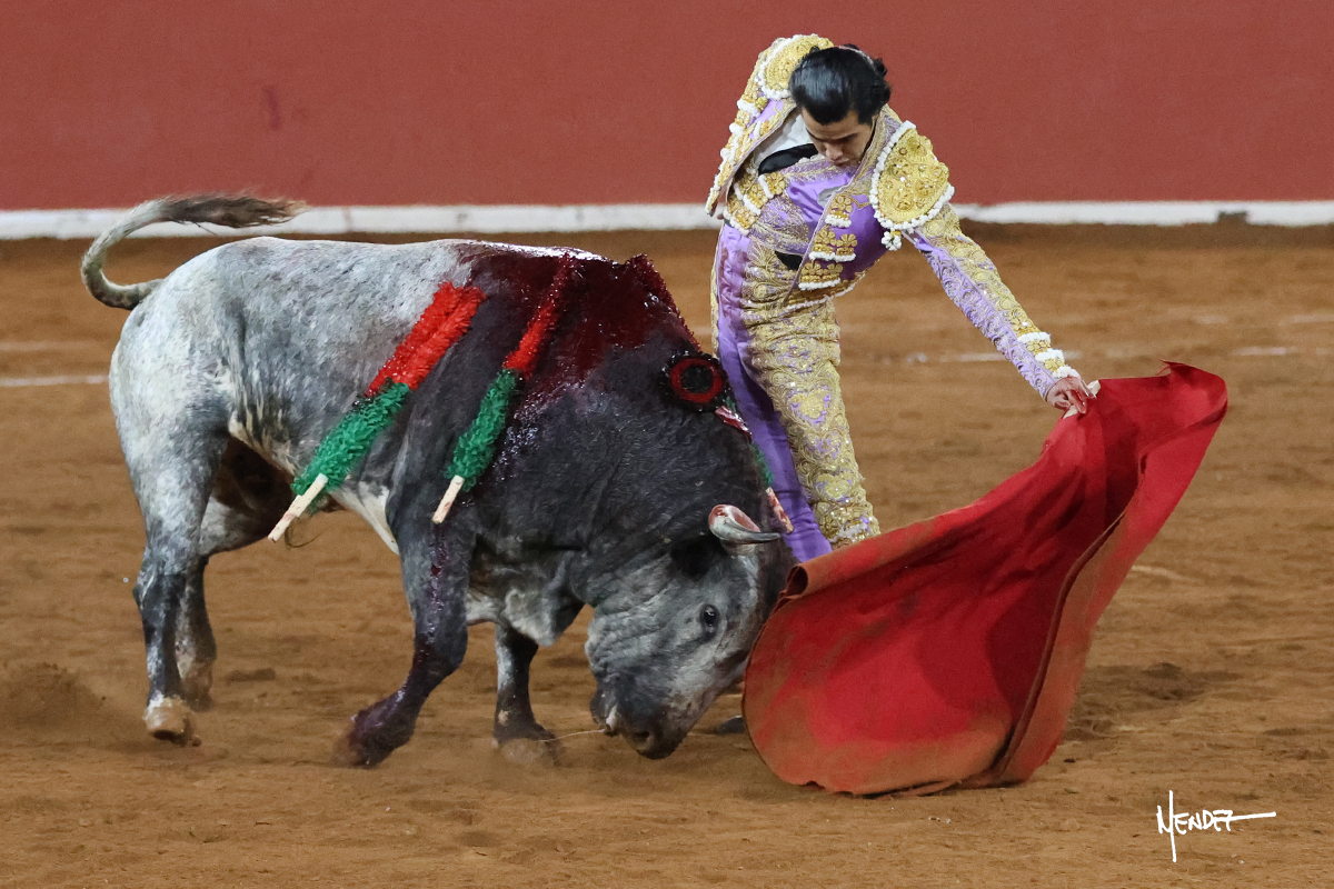 Un torero vestido de luces interactuando con un toro en la plaza de toros.