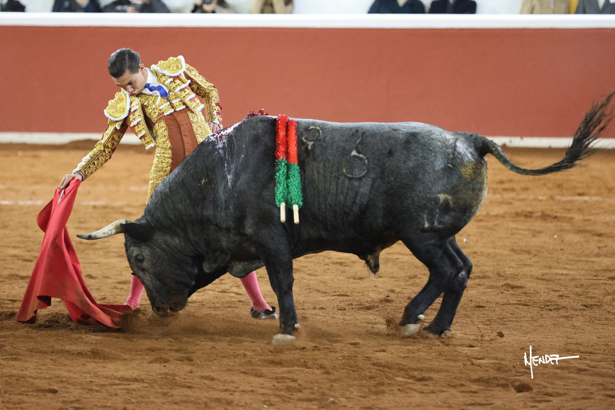 Un torero vestido de luces interactuando con un toro en la plaza de toros.