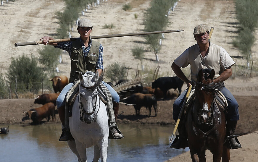 El ganadero Julio de la Puerta sufre una grave cogida en su finca