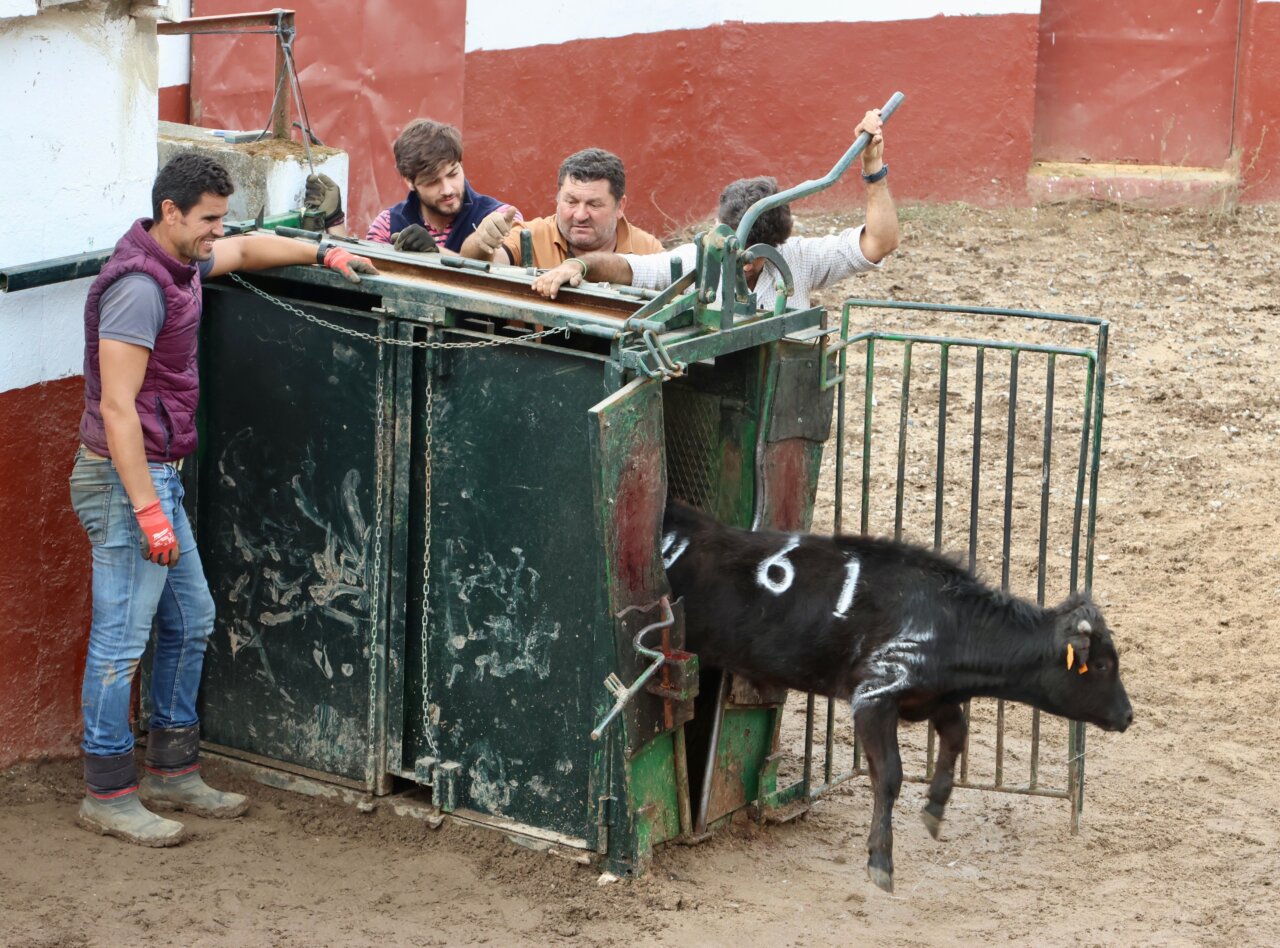 La ganadería Luis Algarra vive un herradero muy especial