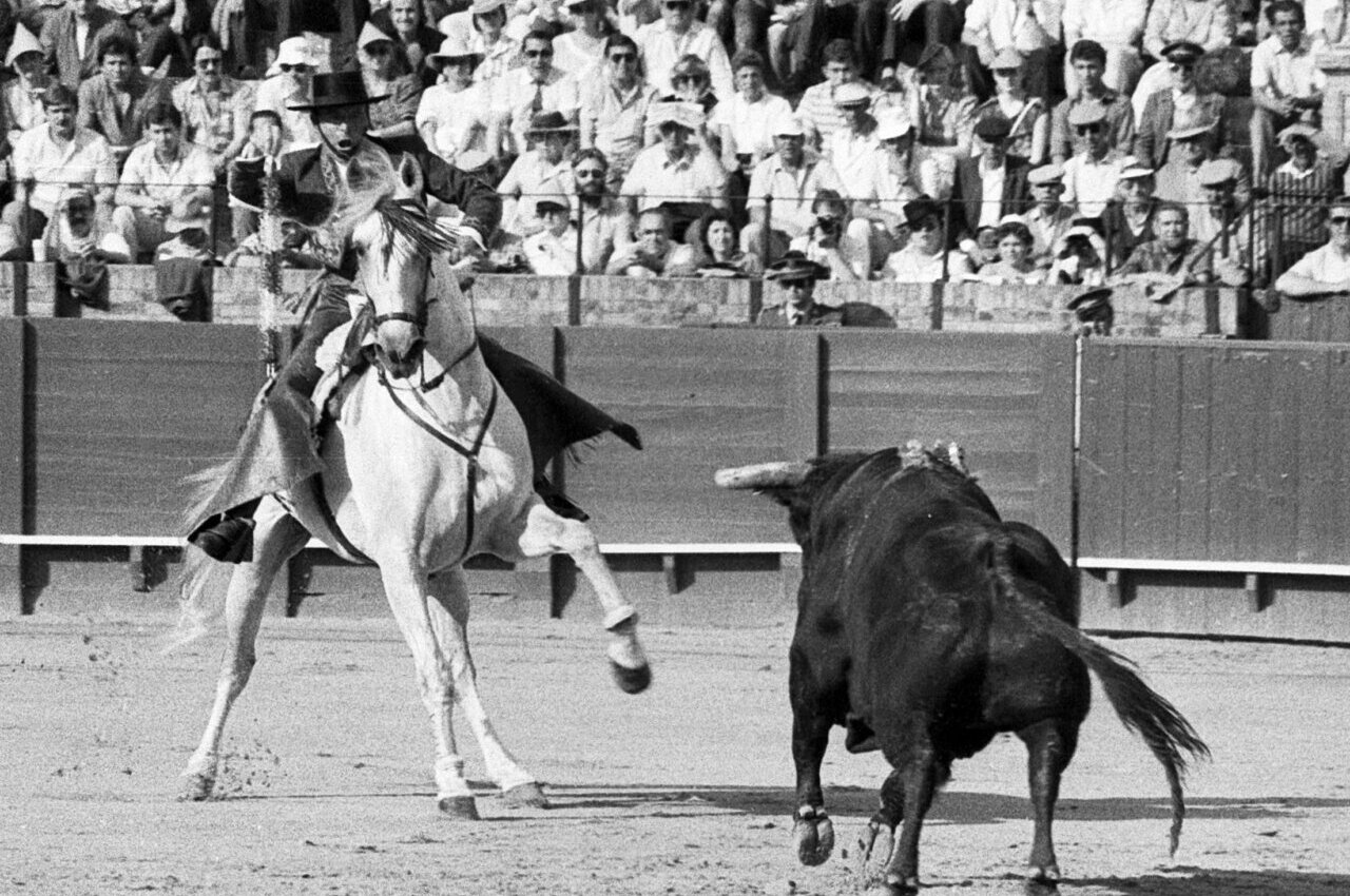 Álvaro Domecq, un innovador del toreo a caballo