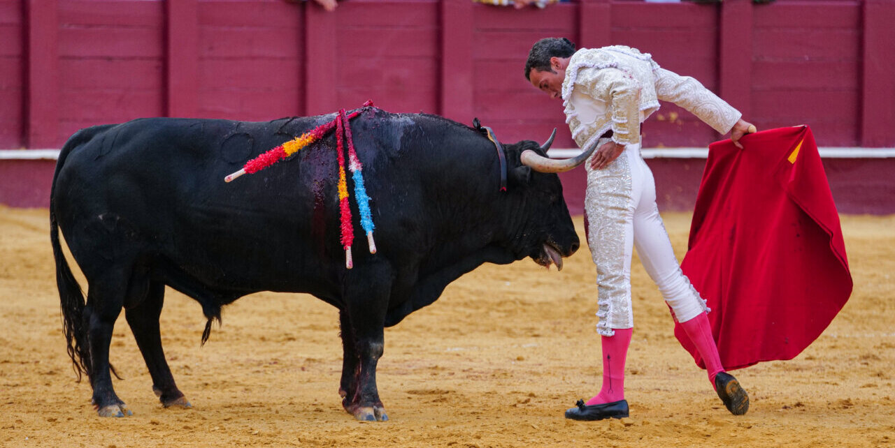 David de Miranda: el toreo en modo alerta