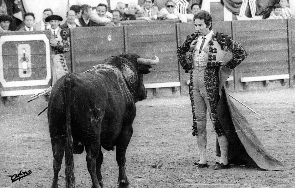 El arte de Rafael de Paula, en el objetivo de Arjona