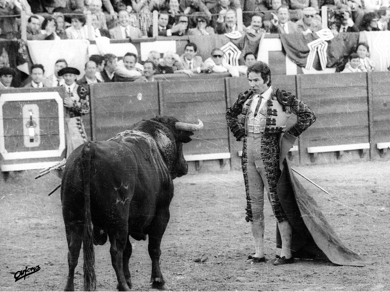 El arte de Rafael de Paula, en el objetivo de Arjona