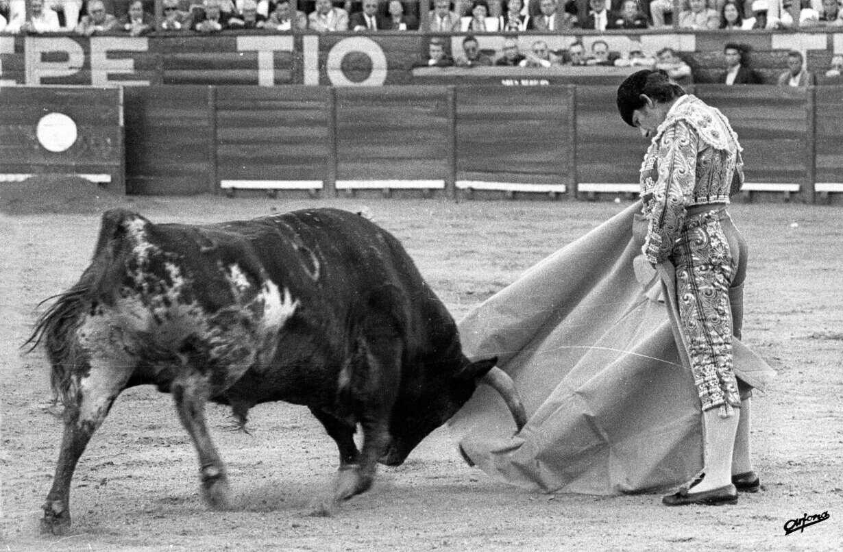 Lazo negro en el capote de Rafael de Paula