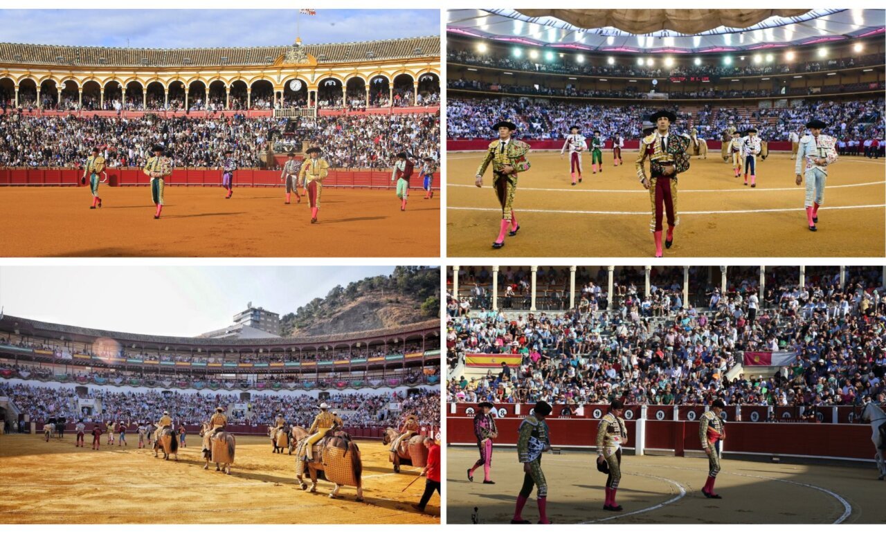 Sevilla, Zaragoza, Málaga...: la ardua pugna invernal por siete plazas a concurso