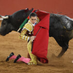 Matador en acción con un toro en la plaza de toros