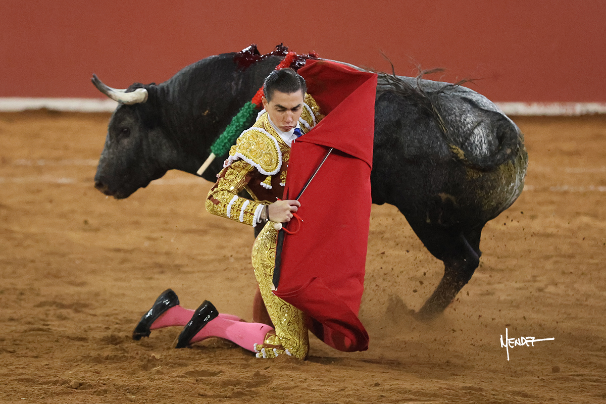Matador en acción con un toro en la plaza de toros