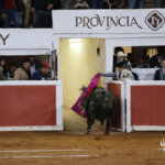 Un torero sale de la plaza con un toro mientras la gente observa.