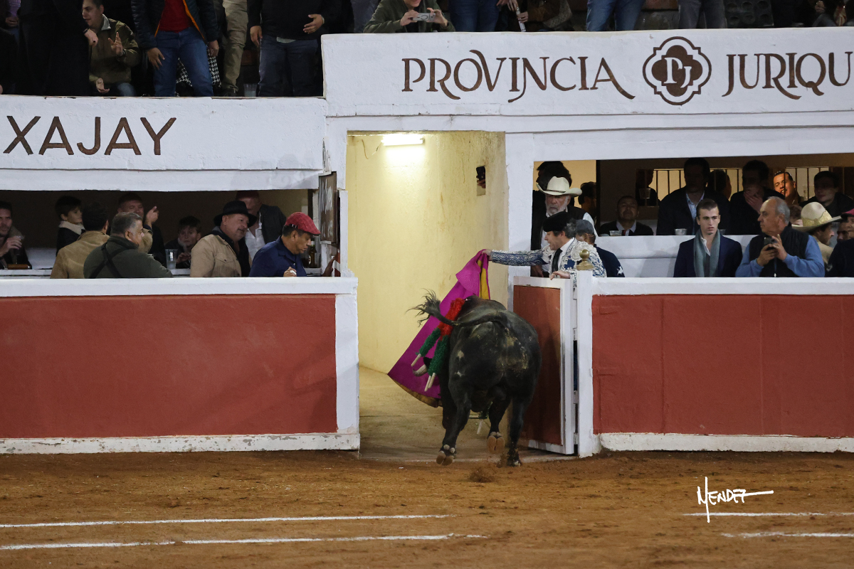 Un torero sale de la plaza con un toro mientras la gente observa.