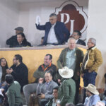 Personas en un evento social con banderas y pañuelos