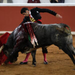 Un torero realizando una faena con un toro en la arena.