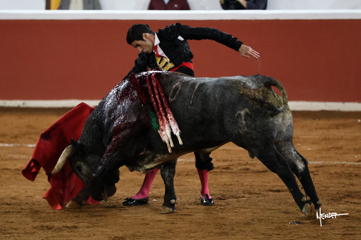 Un torero realizando una faena con un toro en la arena.