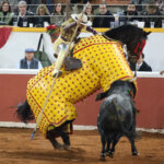 Jinete montando un caballo en una corrida de toros